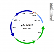 BMEG20 Vector Map